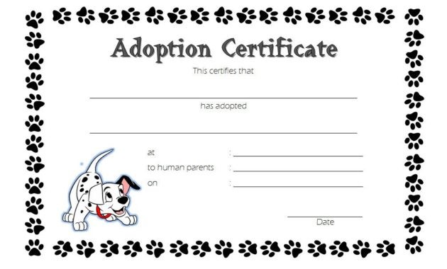 Pet Adoption Certificate Templates Word Biya Stuffed Animal Template Free