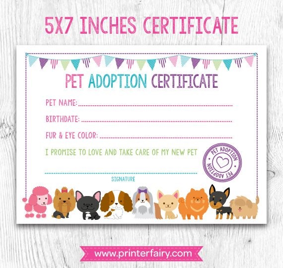 Pet Adoption Stuffed Animal Certificate Template