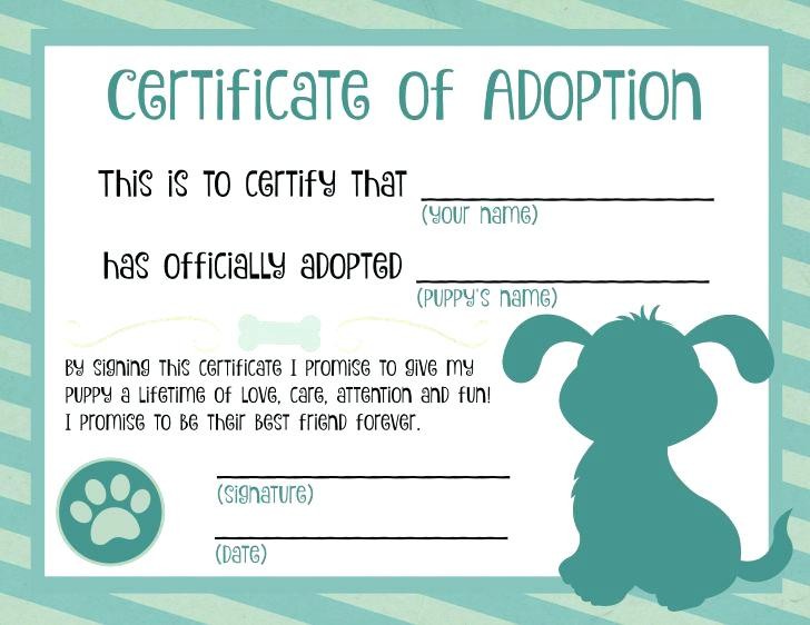Pet Health Certificate Template Fresh Best Adoption Templates Images Stuffed Animal Free