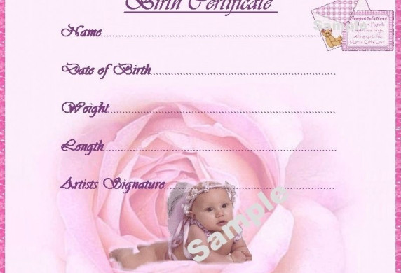 PRETTY PINK BIRTH CERTIFICATE CERTIFICATES 4 REBORN FAKE BABY Approx Birth Certificate For Baby Dolls