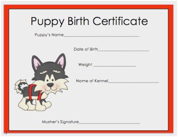 Printable Dog Birth Certificate Pretty Puppy Template