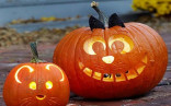 Pumpkin Carving Ideaa 86 Best Pumpkincarving Ideas Images On