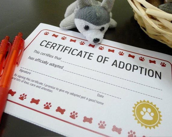 Puppy Dog Adoption Certificate Birthday Party Printable Etsy Stuffed Animal Template