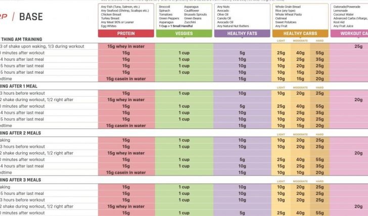 Renaissance Periodization Template Excel Download Mythologen Info Diet Auto Templates Free