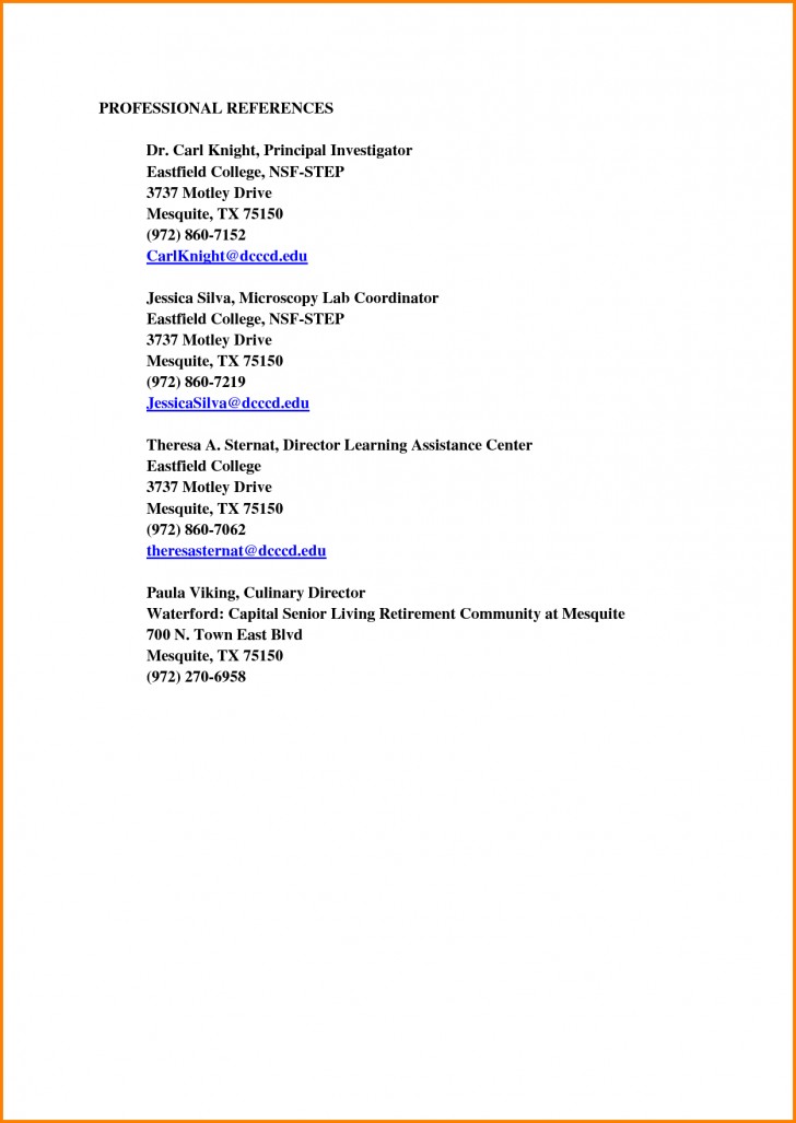 Resume Reference List Templates Zrom Tk Professional References Template Download