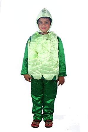 SBD Cabbage Vegetable Fancy Dress Costume For Kids Amazon In