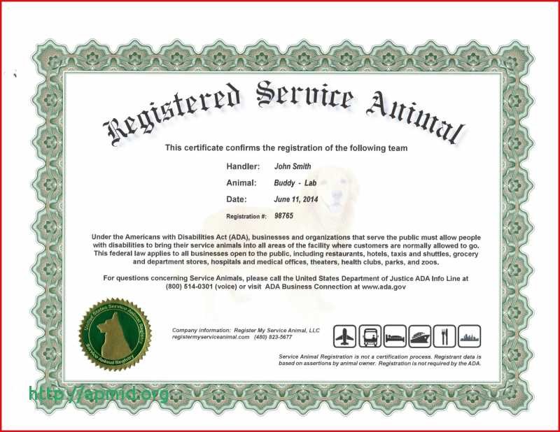 Service Dog Certificate Template Animal
