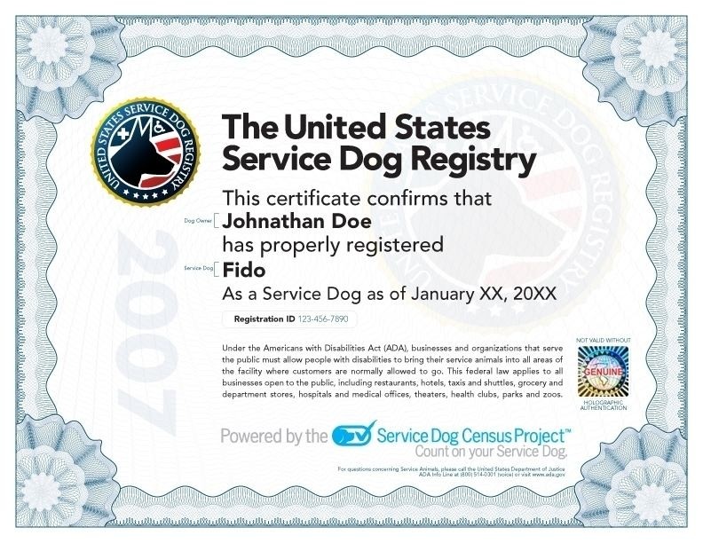 Service Dog Certificate Template Digitalhiten Com Animal