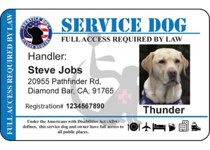 Service Dog Certificate Template Id