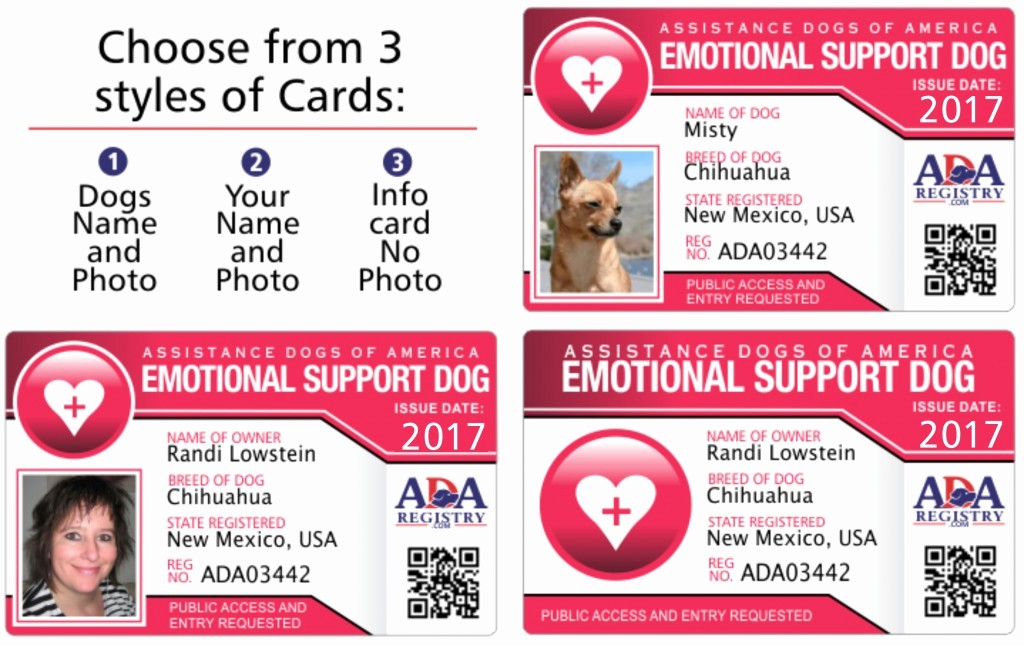 Service Dog Identification Card Template Unique Fantastic Animal Certificate