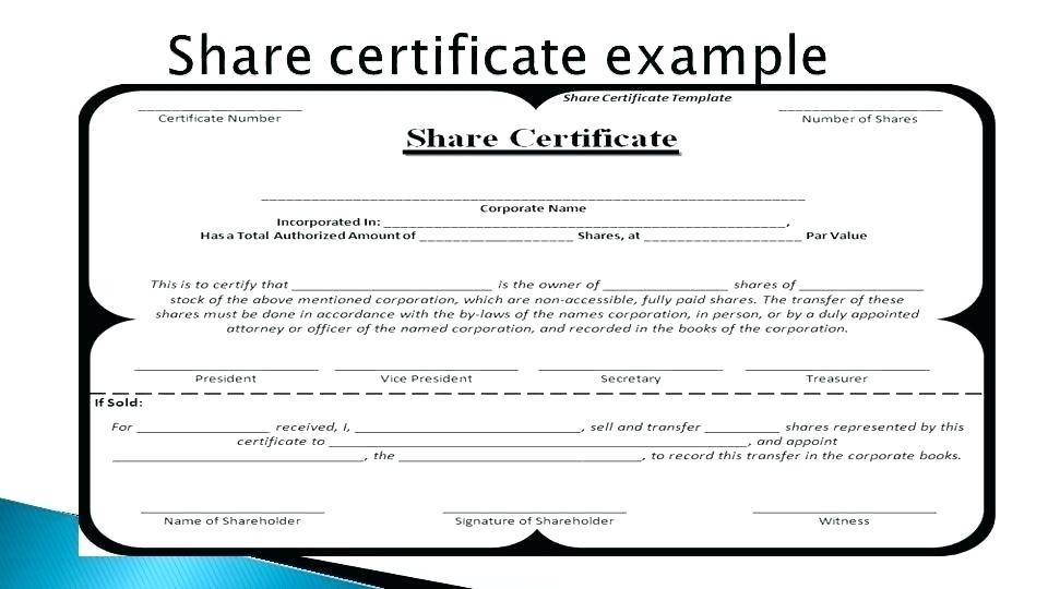 Share Certificate Design Blank Template Uk Editable South Africa Free