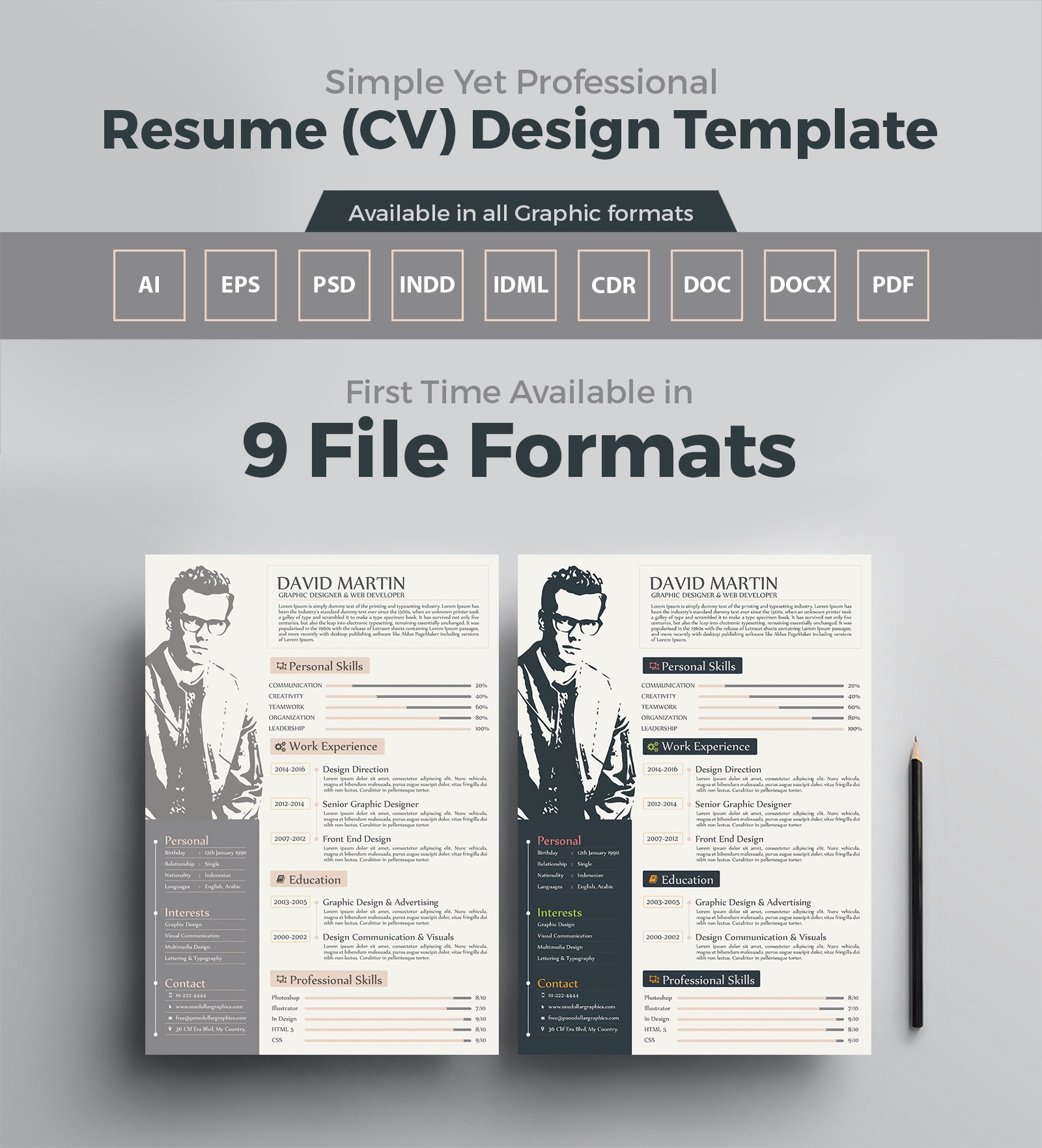 Simple Yet Professional Resume CV Design Templates In Ai EPS PSD Eps Psd