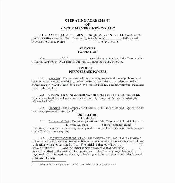 Single Member Llc Operating Agreement Template Free Unique