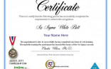 Six Sigma Black Belt Certificate Template Free Design Green
