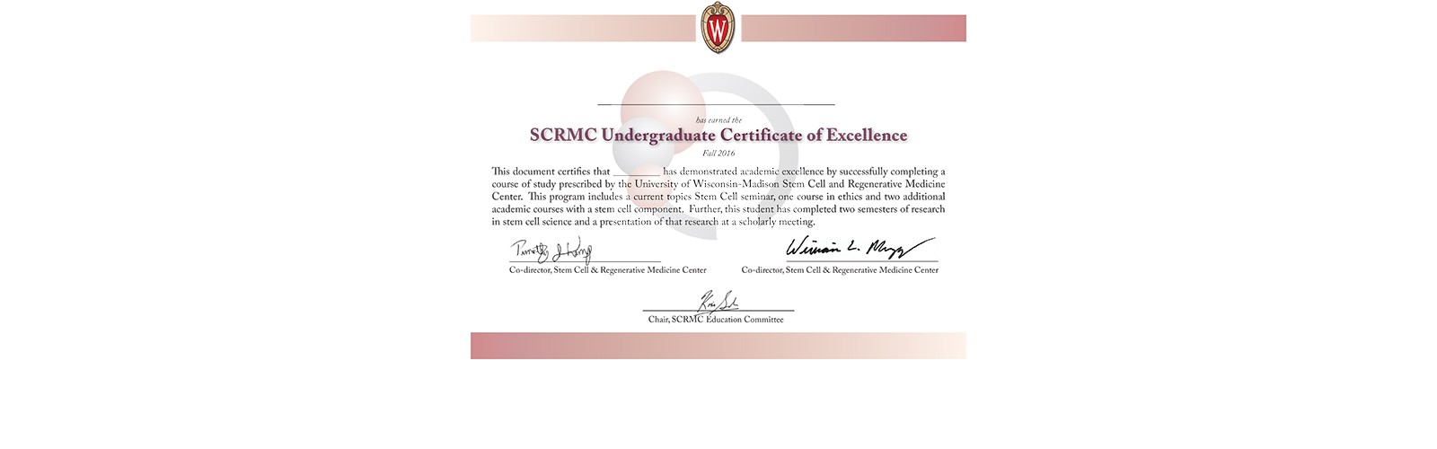 Undergraduate Certificate Of Excellence In Stem Cell Sciences