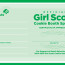 Volunteer Certificates Of Appreciation For Girl Scout Google Certificate