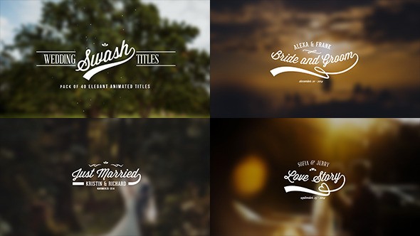 Wedding Swash Titles By AndrewHlus VideoHive Title After Effects Project