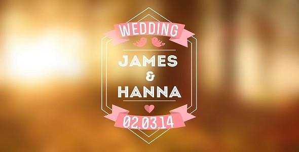 Wedding Titles Vol 2 By MotionNinja VideoHive After Effects