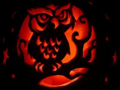 1 643 Pumpkin Carving Ideas Stencils And Patterns Free Printable Owl