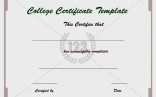 11 Martial Arts Certificate Maker Henfa Templates