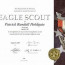 194 Curated Eagle Scout Ideas By Ccheard Letter Of Recognition Certificate Template