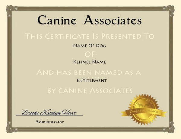 25 Free Certificate Templates Dog Show Template