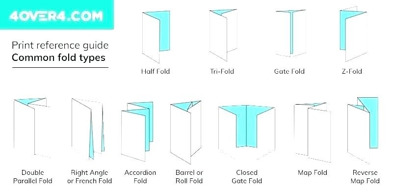 5 Panel Brochure Template Standard Size For 3 Roll Fold Dl Best Barrel