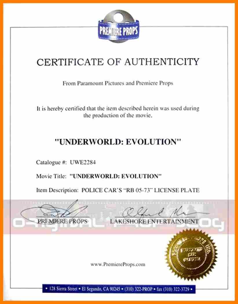 Distributor Certificate Template Word Authorization carlynstudio us