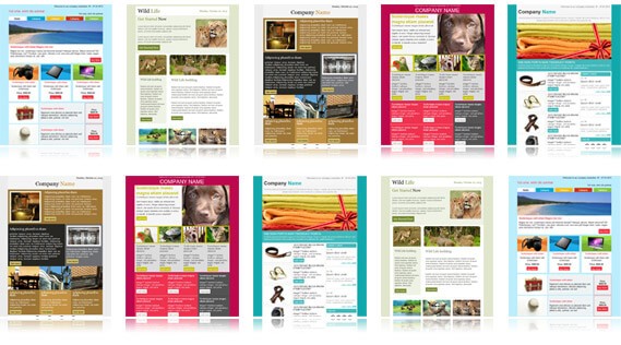 900 Free Responsive Email Templates To Help You Start With Design Best Mailchimp