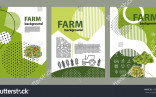 Agricultural Brochure Layout Design Geometrical Composition Stock Agriculture