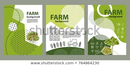 Agricultural Brochure Layout Design Geometrical Composition Stock Agriculture Templates