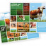 Agriculture Brochure Templates In Microsoft Publisher Adobe Free