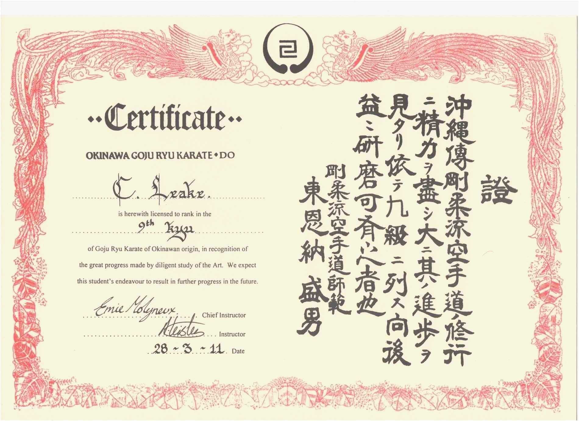 Martial Arts Certificate Template carlynstudio us