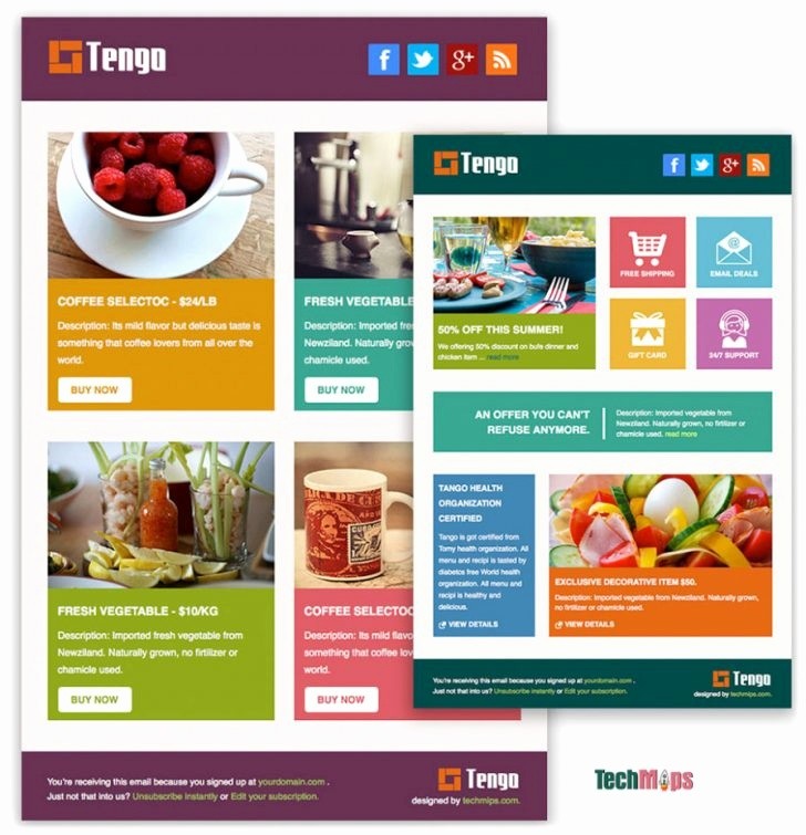 Best Of Mailchimp Responsive Templates 20 Image Get Free Email