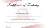 Best Photos Of Free Blank Training Certificate Template