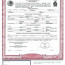 Birth Certificate Translation Template English To Spanish Images