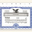 Blank Stock Certificate Template Corporate Certificates Share Free Download