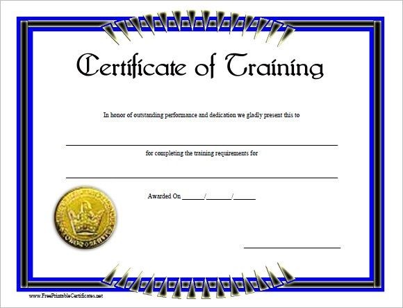 Blank Training Certificate Template Free