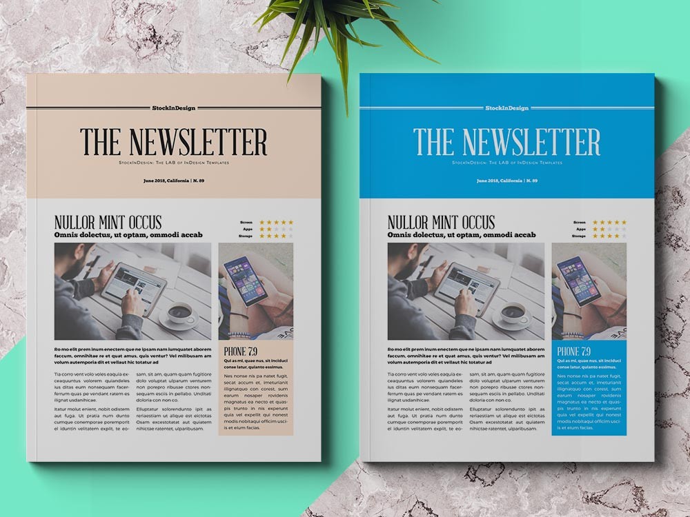 Business Newsletter Template Adobe InDesign Templates For