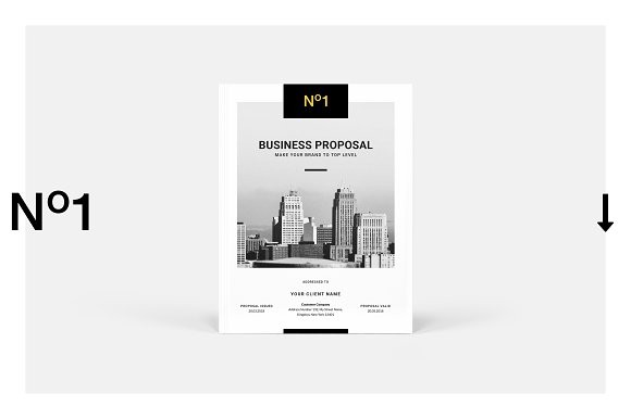 Business Proposal Template Brochure Templates Creative Market Settlement