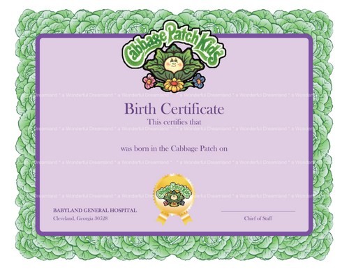 Cabbage Patch Doll Birth Certificate Template Flocker Info