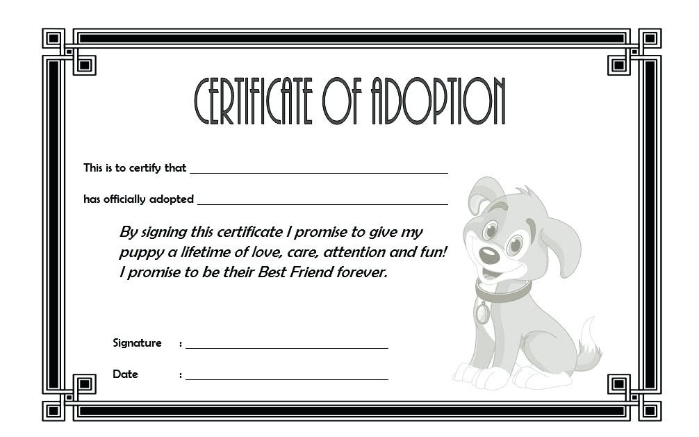 Pet Adoption Certificate Templates Word Biya Stuffed Animal