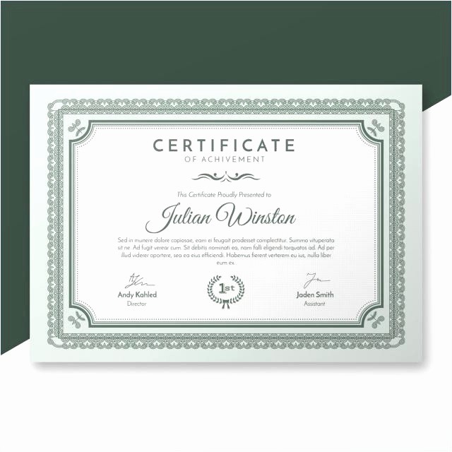 Certificate Of Participation Template Luxury District Award