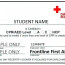 Certification Card Provider Free Template Cpr Pdf Leadgo Pro First Aid Certificate Word