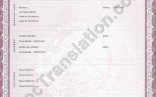 Certified Translation Of Mexican Birth Certificate From Spanish Translate To English