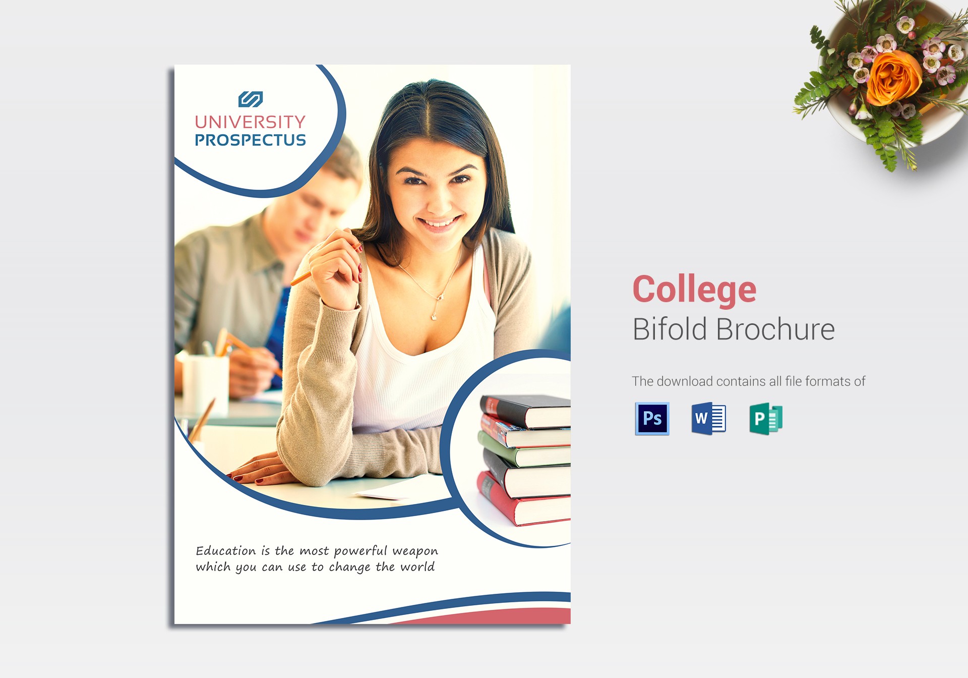 College Bi Fold Brochure Design Template In Word PSD Publisher Templates For Education