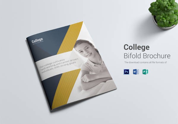 College Brochure Templates 41 Free JPG PSD Indesign Format Download