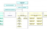 Company Structure Chart Template Free Org Templates Organizational Corporate