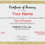 Cpe Certificate Of Completion Pretty Education Ceu Template