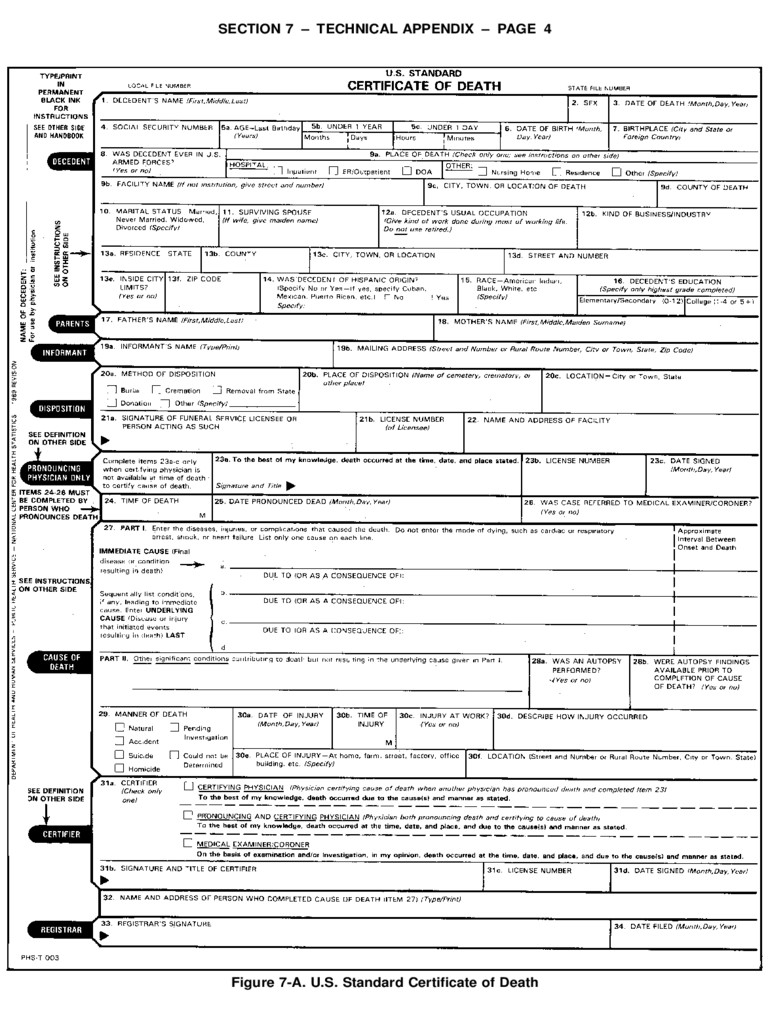 Death Certificate Form 5 Free S In PDF Word Excel Download